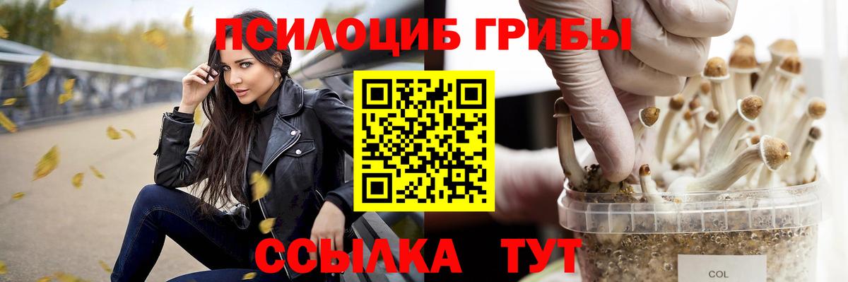 Псилоцибиновые грибы Psilocybine cubensis Бутурлиновка
